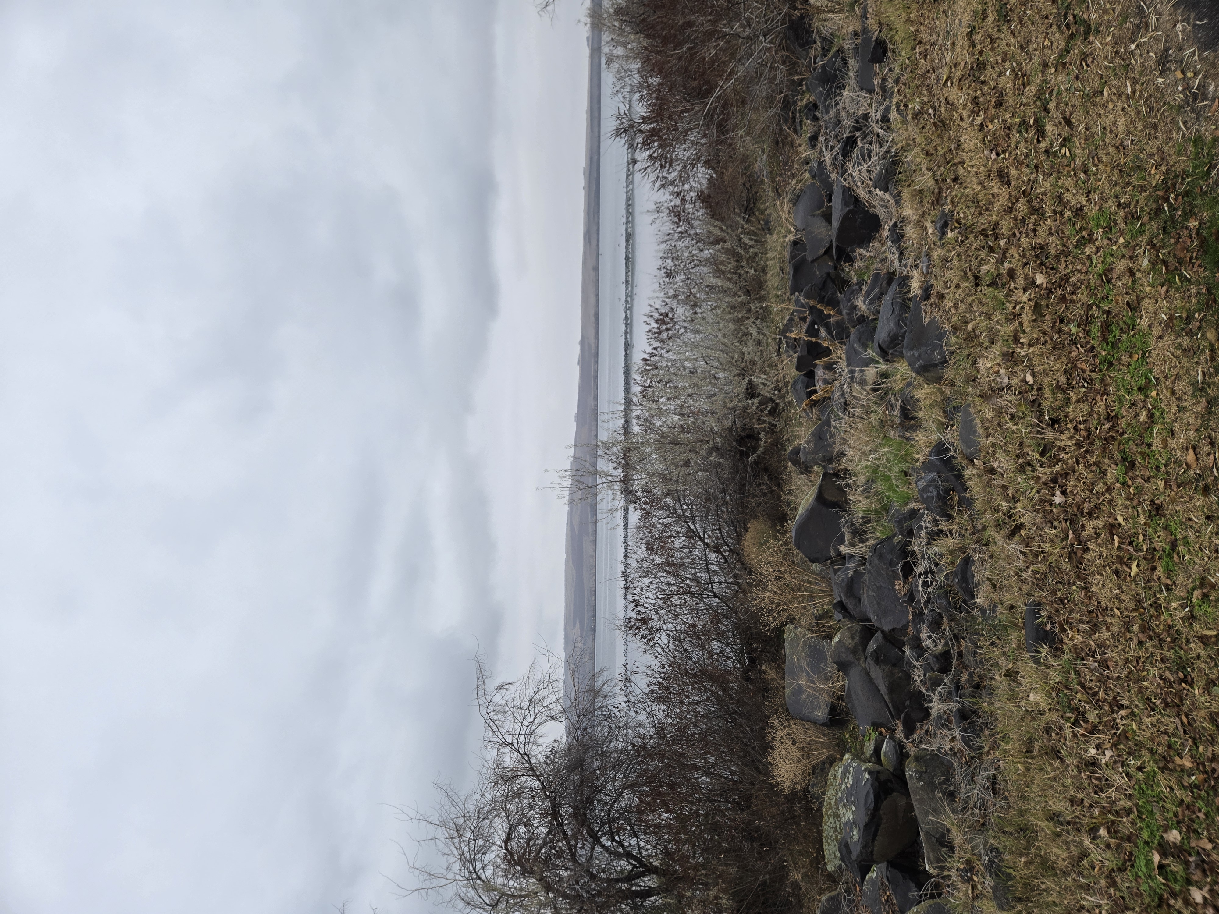 View of river from bank